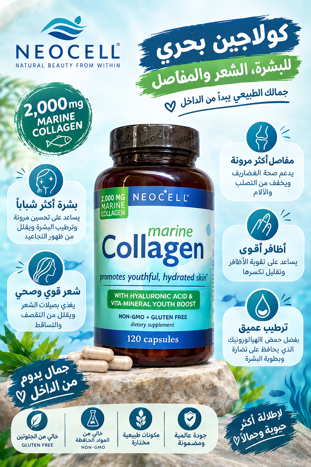 collagen marine